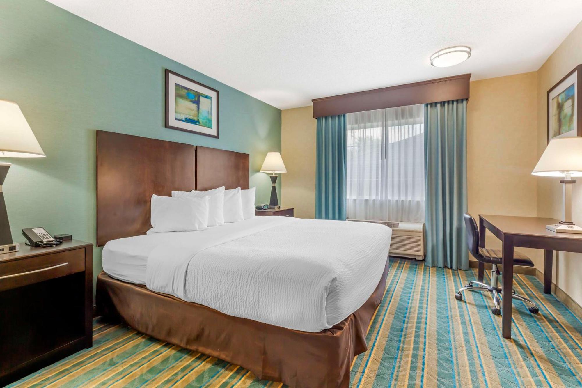 Best Western Plus Berkshire Hills Inn & Suites Pittsfield Dış mekan fotoğraf