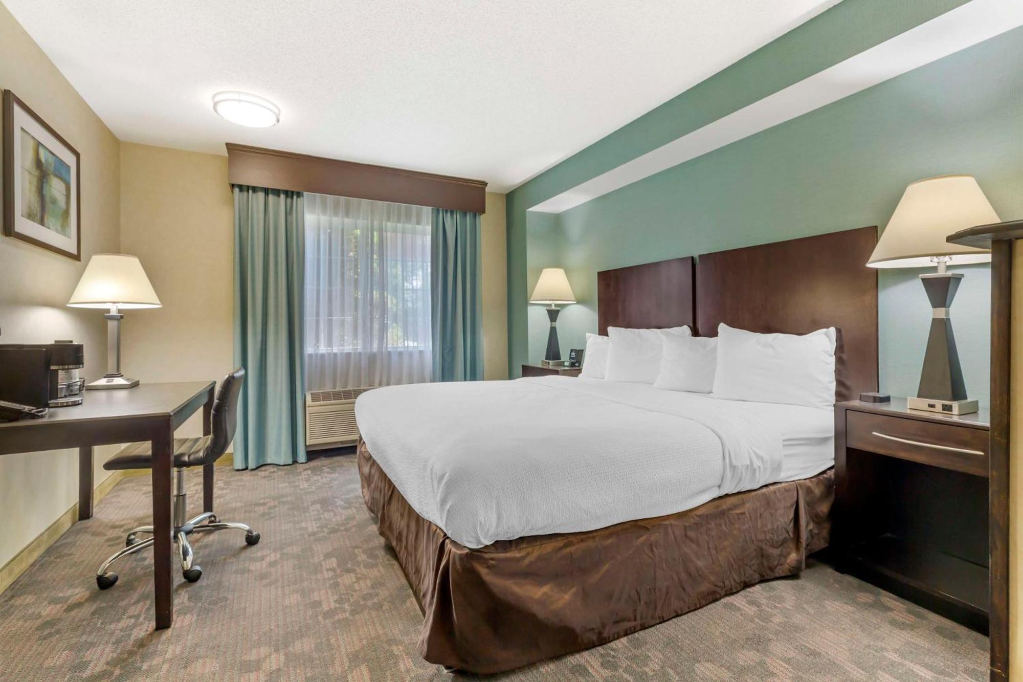 Best Western Plus Berkshire Hills Inn & Suites Pittsfield Dış mekan fotoğraf